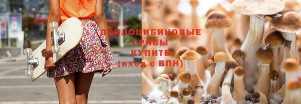 ГАЛЛЮЦИНОГЕННЫЕ ГРИБЫ Абдулино