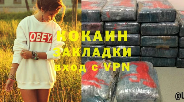 гидра Абаза