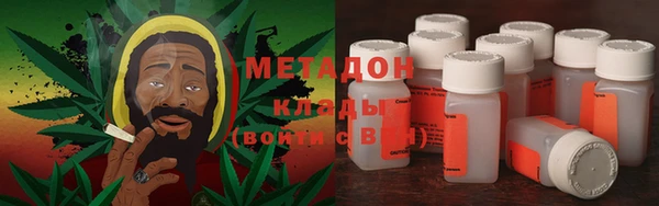 индика Гатчина