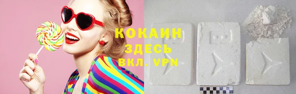 гидра Абаза