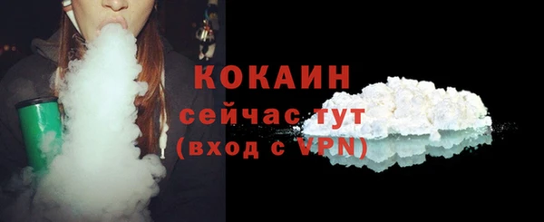 гидра Абаза