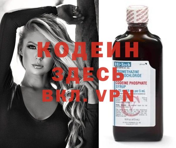 гидра Абаза