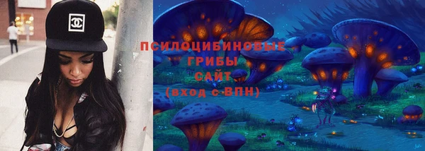 ешки Сафоново